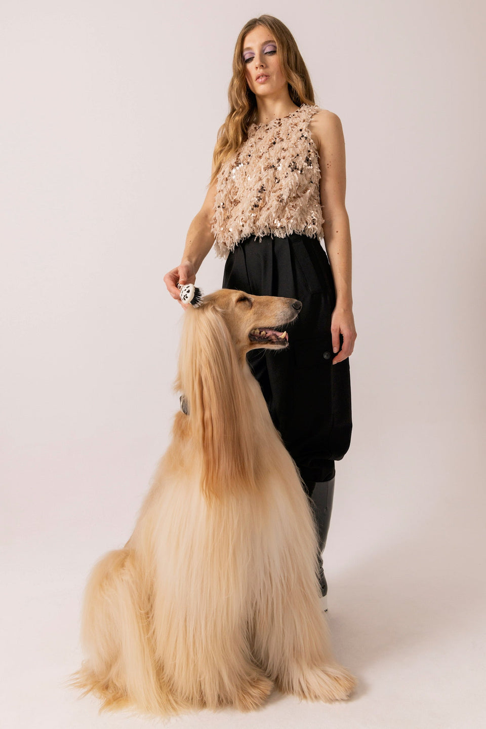 Tel maître, tel chien : le choix de la brosse qui vous ressemble