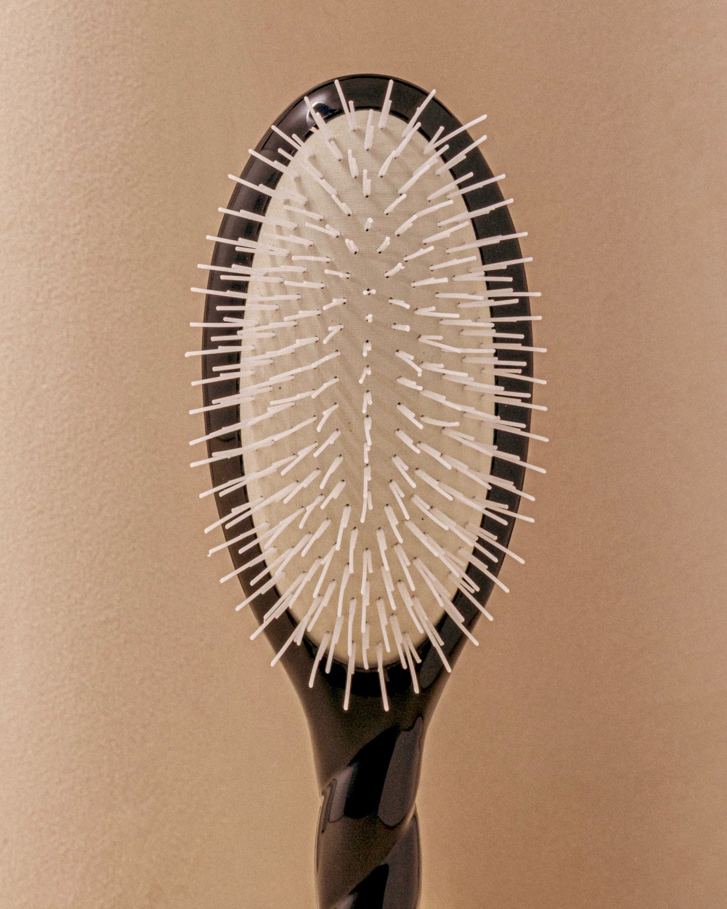 Trio: La Bonne Brosse, ihr Kamm und ihr Etui Schwarze Edition