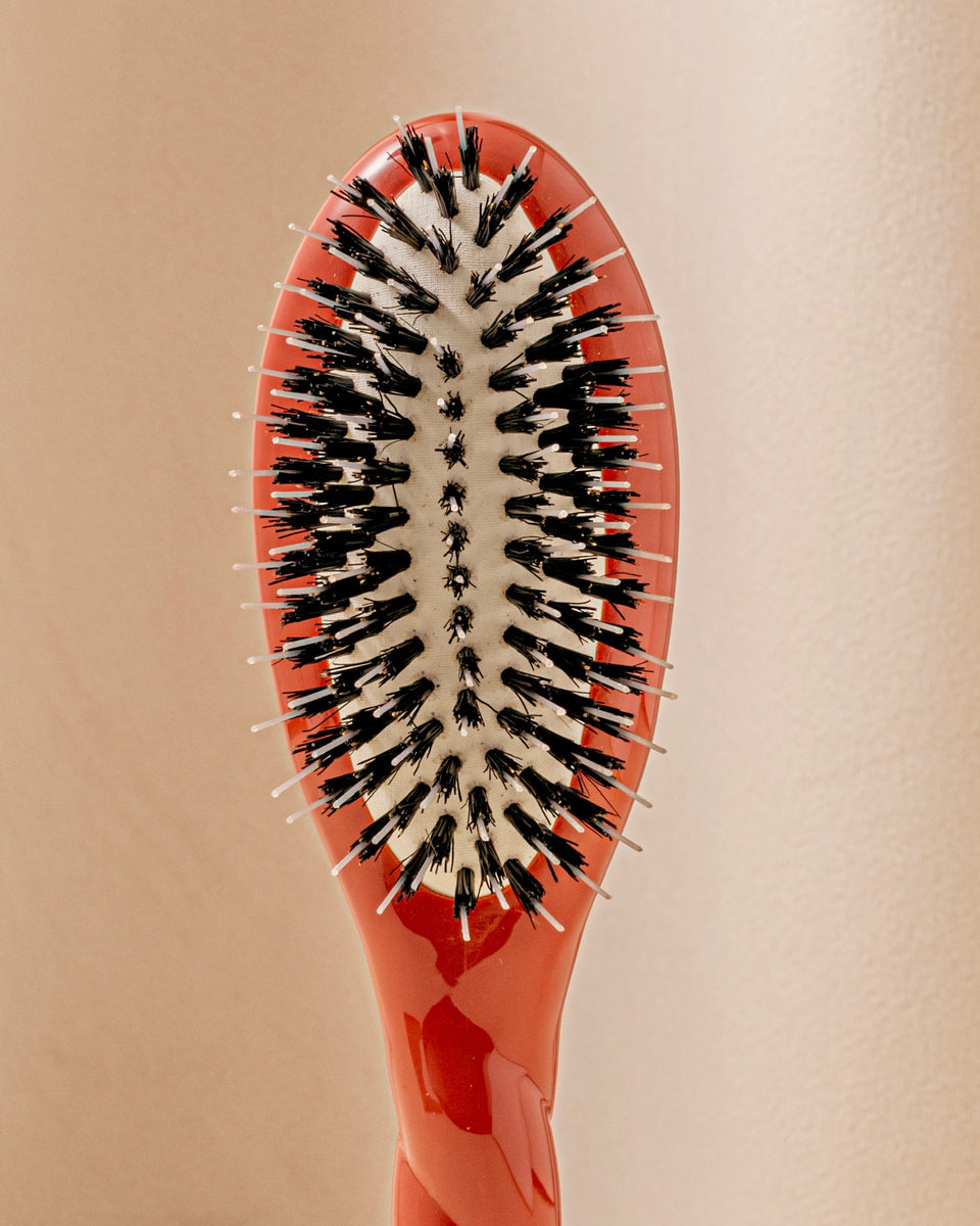 N.02 La Piccola L’essenziale Cura e Disinfestazione Spazzola Marrone Terra