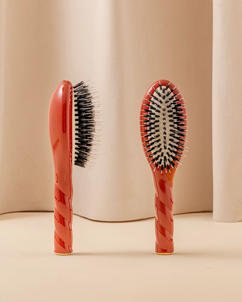 N.02 La Piccola L’essenziale Cura e Disinfestazione Spazzola Marrone Terra