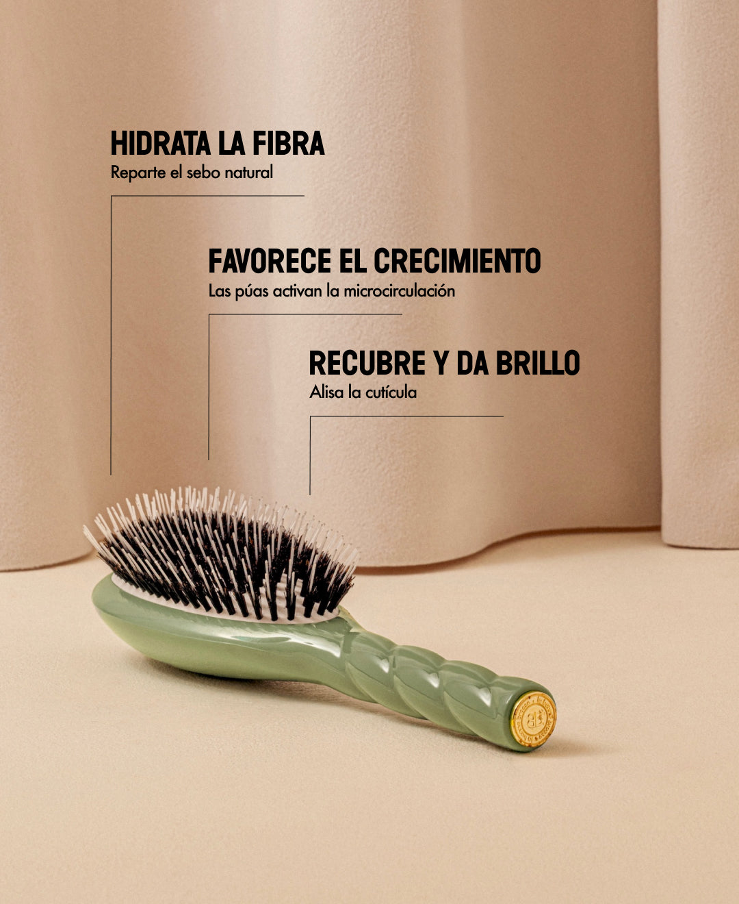 N.02 Lo Indispensable De Cuidado y Desenredado Cepillo Verde Almendra