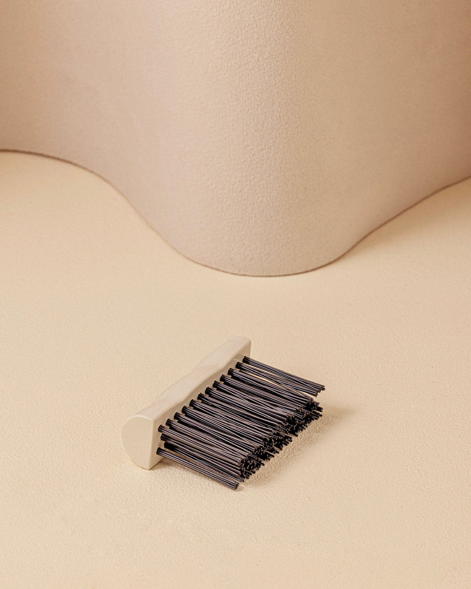 The cleaning brush