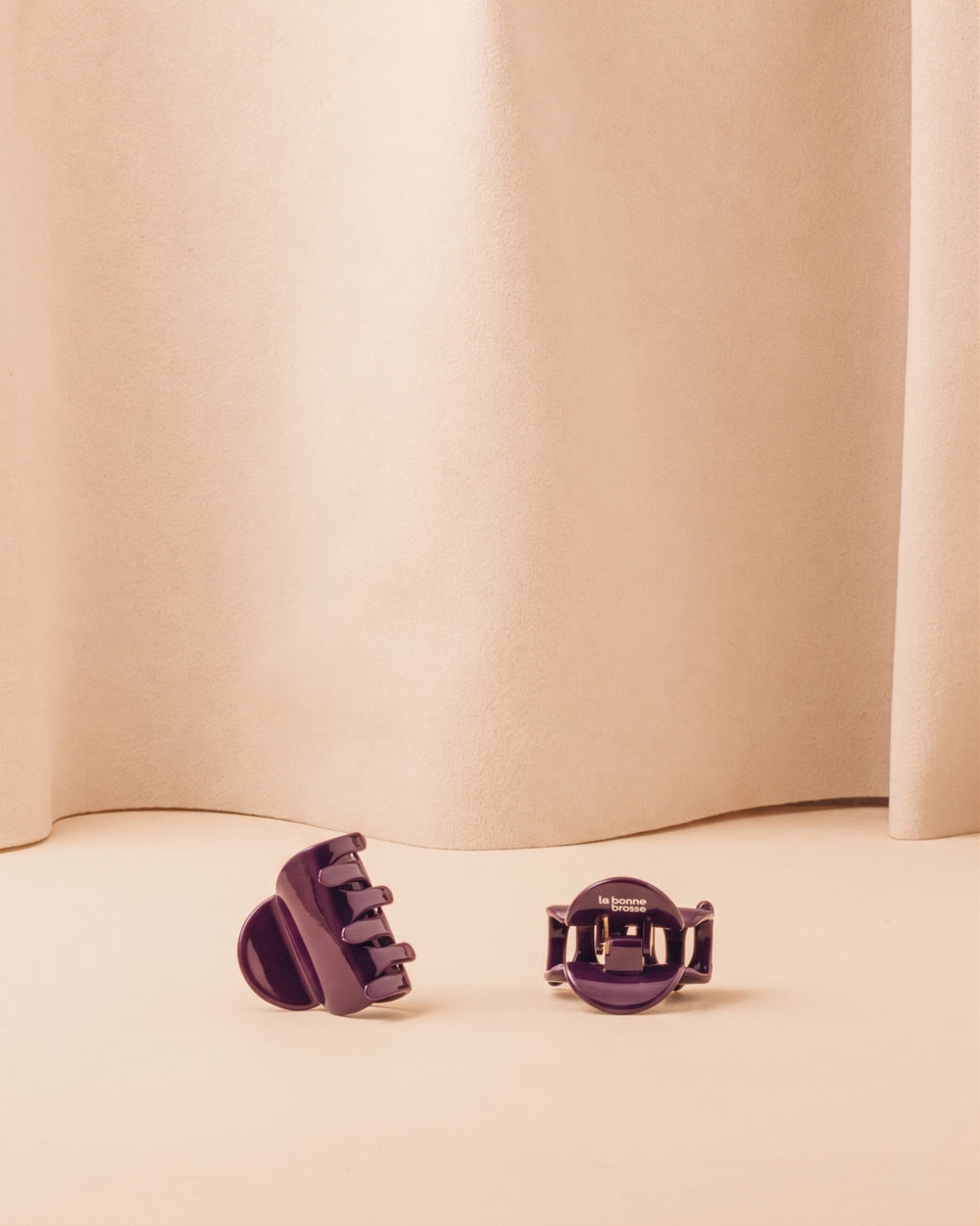The Little Hair Clip