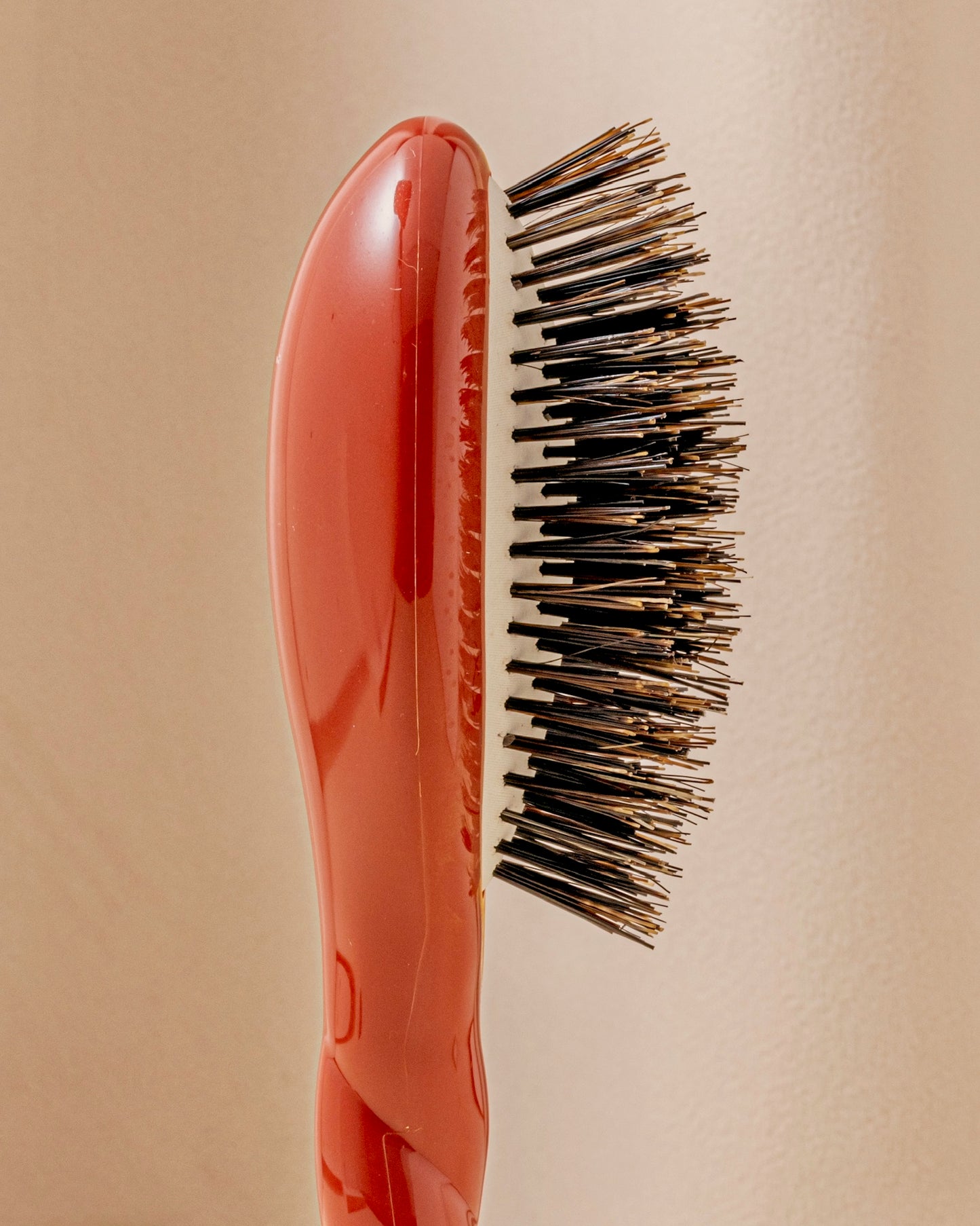 N.01 La Petite Brosse Brillance & Soin l’Universelle Terre Battue