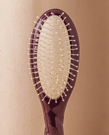 Limitierte Edition Aubergine N.04 Die Kleine Bürste Die Wunderbare Entwirrend und Massierend
