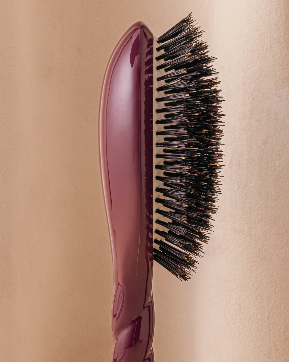 Édition Limitée Aubergine N.01 La Brosse Brillance & Soin l'Universelle
