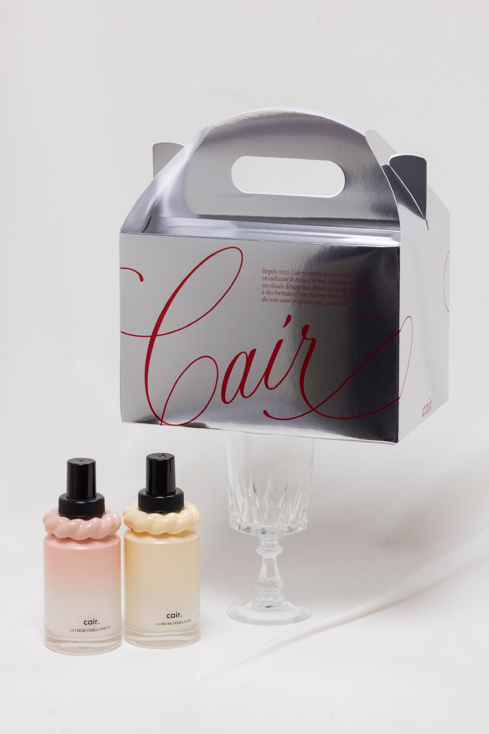 Hydration & Shine Power Duo with Silver Gift Box