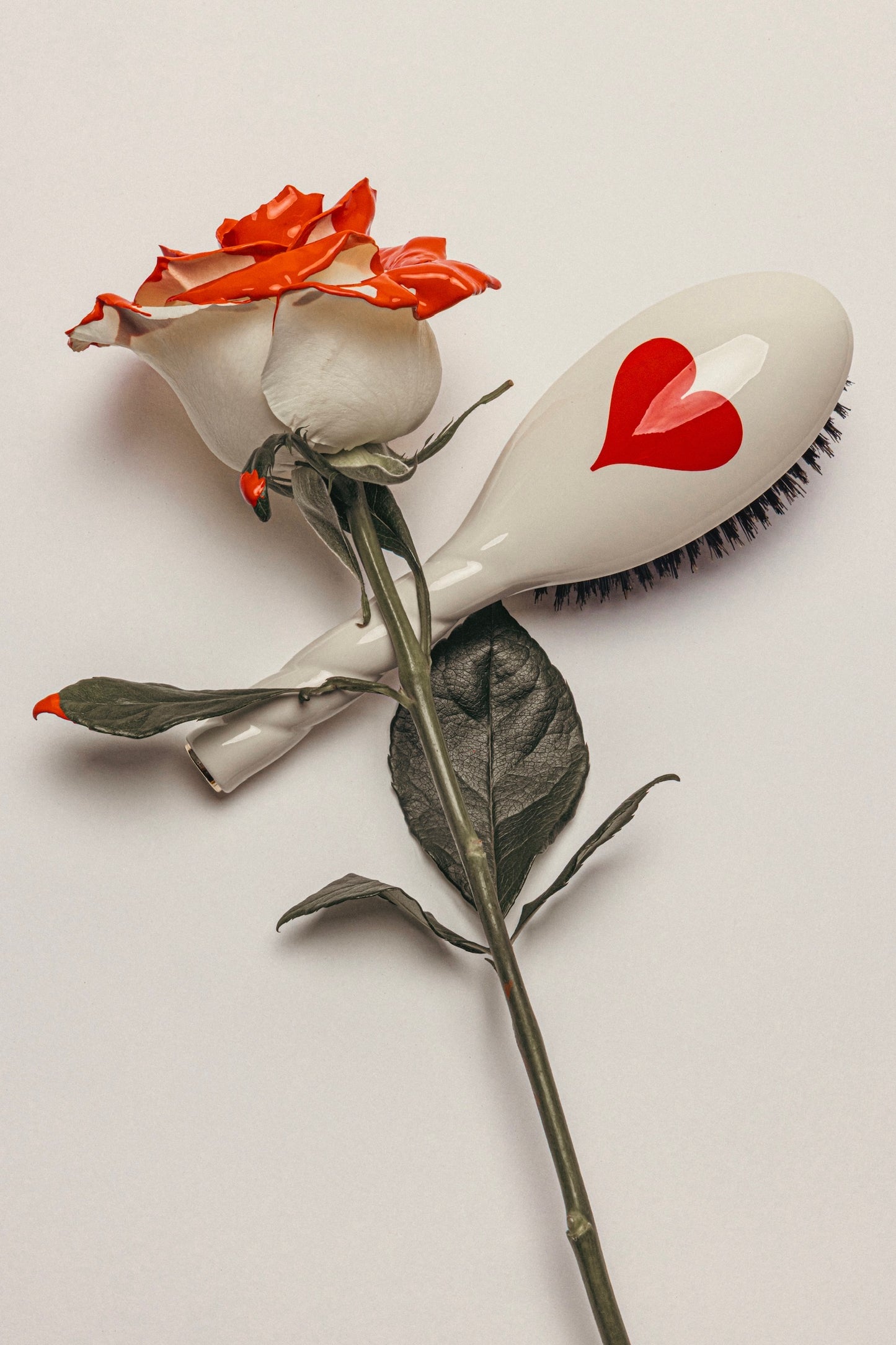 Limited Edition Queen of Hearts N.01 The Shine and Care Brush Universal