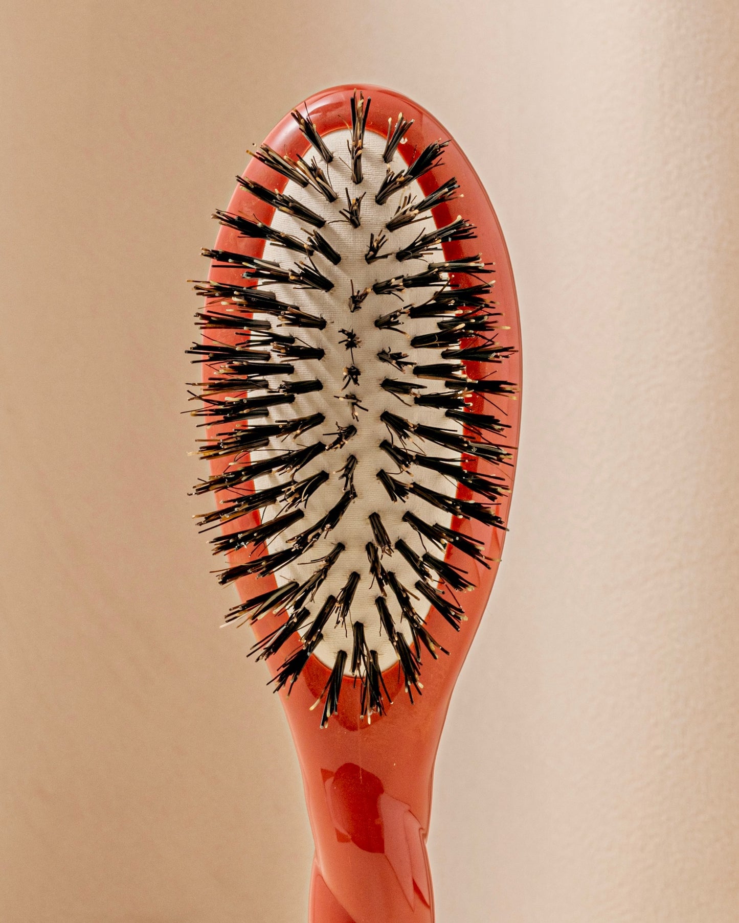 N.01 La Petite Brosse Brillance & Soin l’Universelle Terre Battue