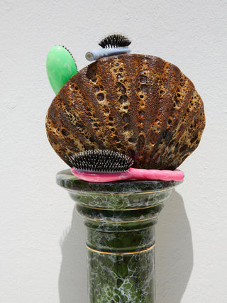 la bonne brosse x roseanna
