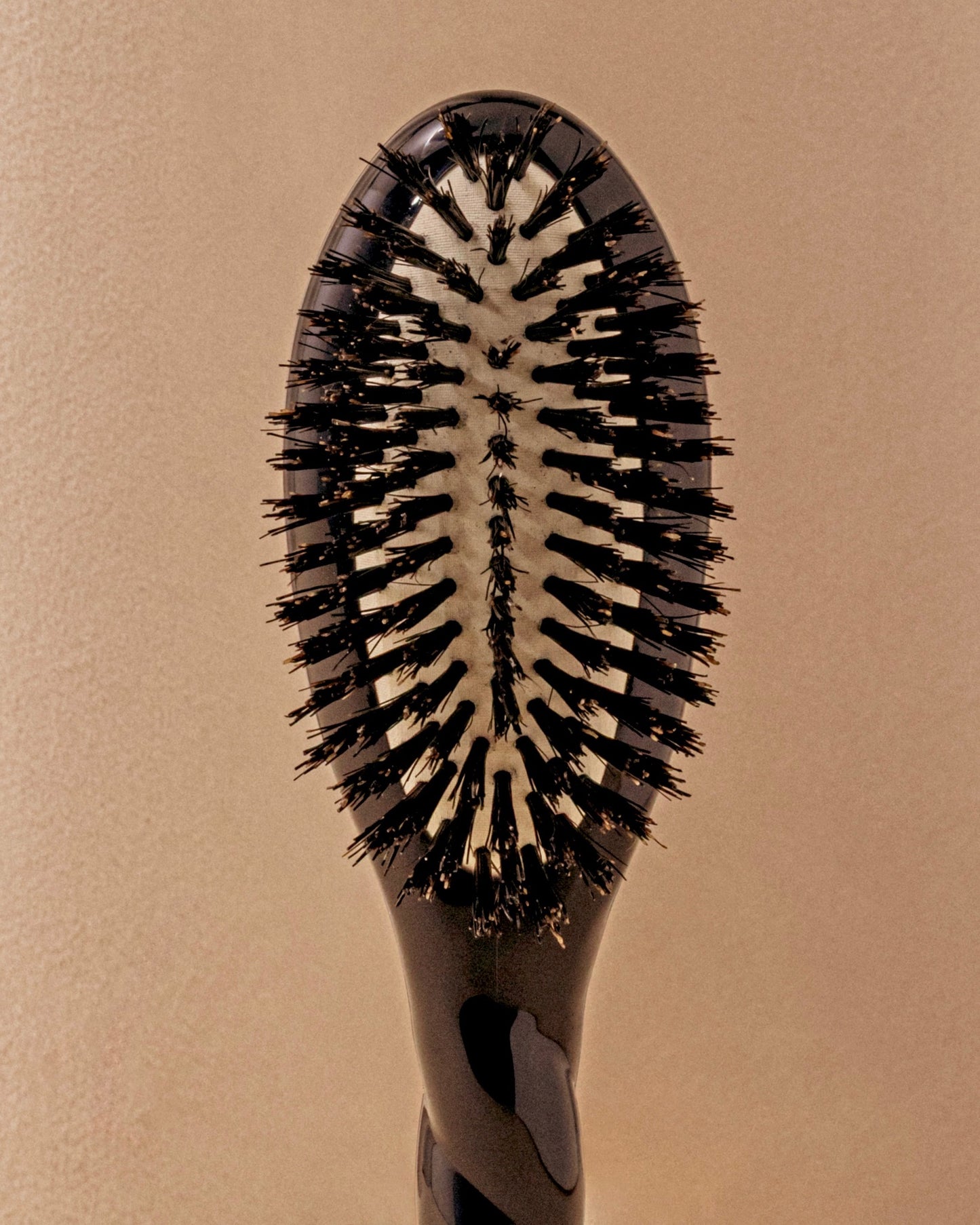 Black Edition N.01 El Pequeño Cepillo de Brillo y Cuidado La Universal