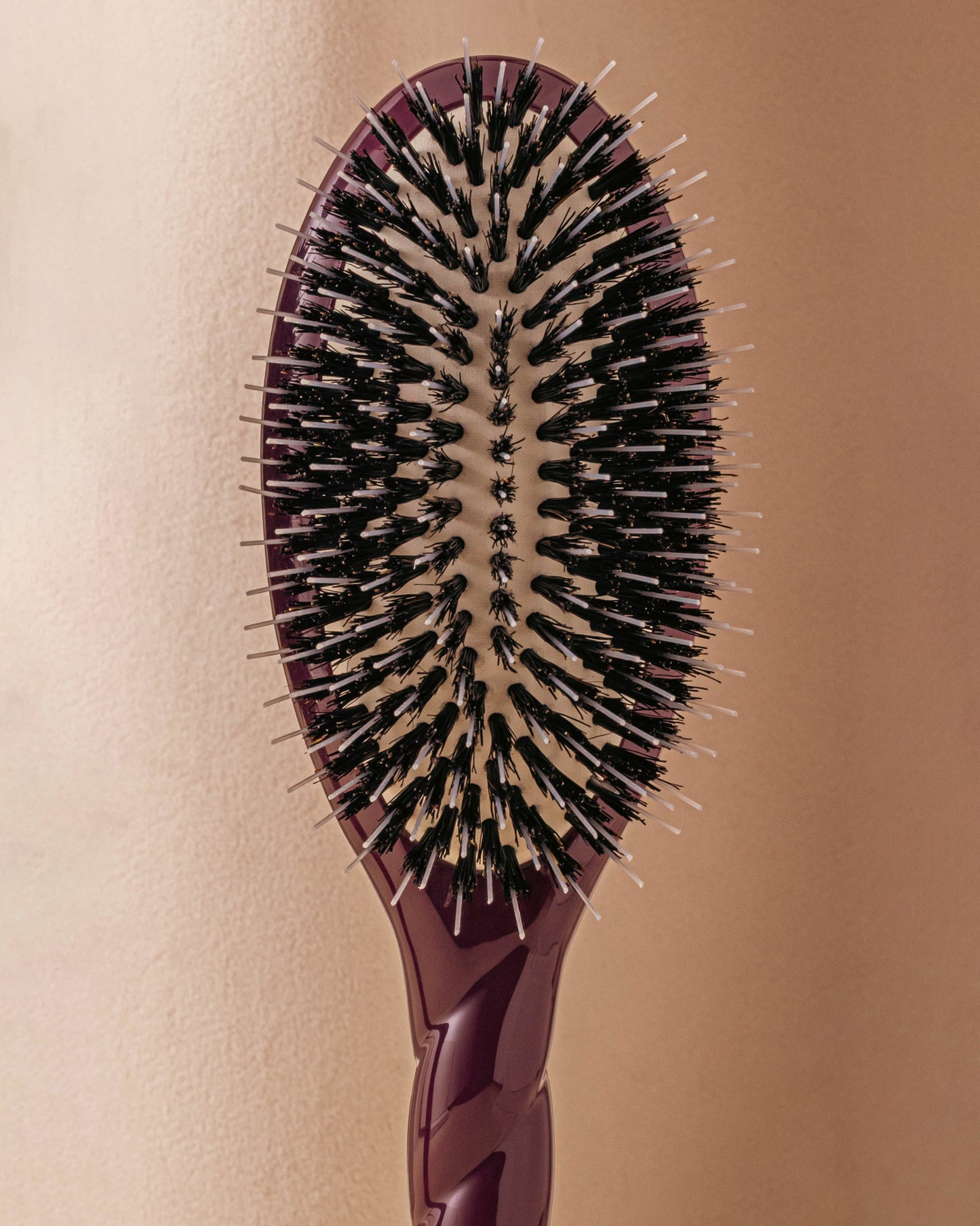 Édition Limitée Aubergine N.02 La Brosse Démêlante & Soin l'Indispensable