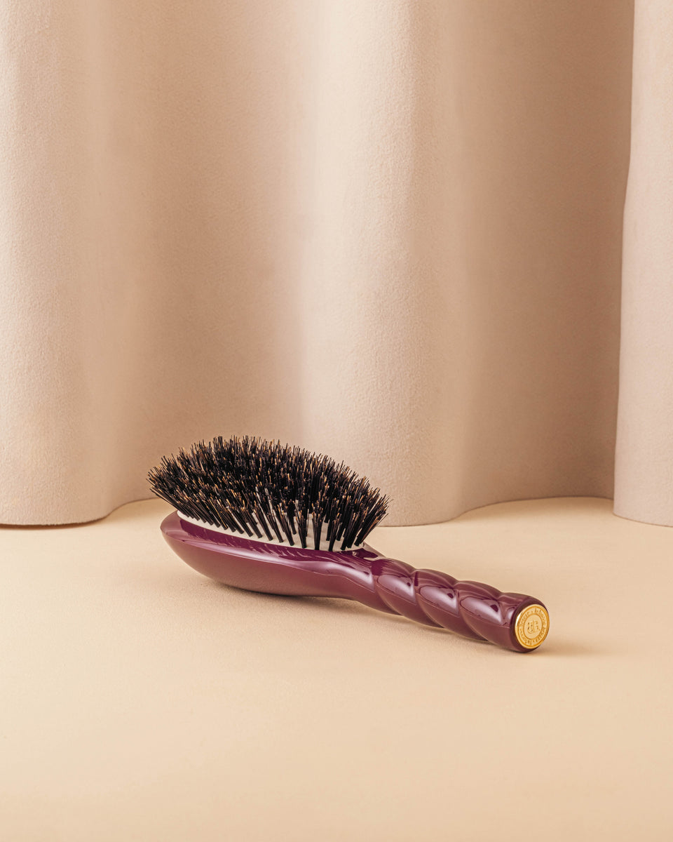 Édition Limitée Aubergine N.01 La Brosse Brillance & Soin l'Universelle