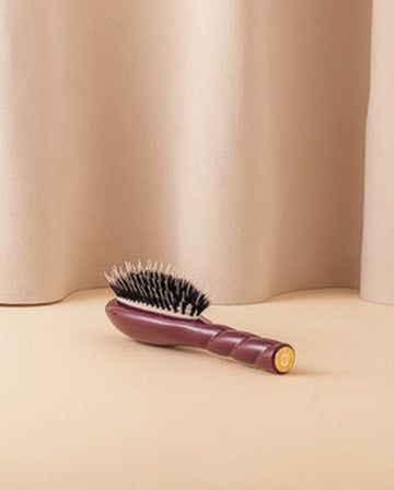 Édition Limitée Aubergine N.02 La Petite Brosse Démêlante & Soin l'Indispensable