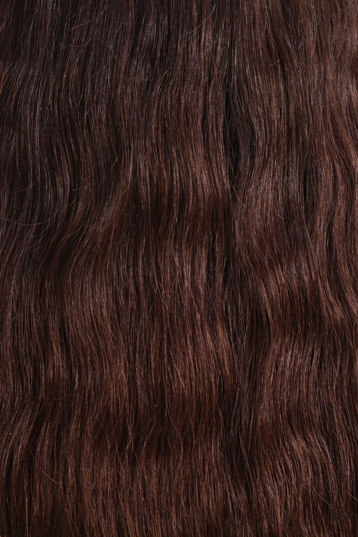 The Balance & Regrowth Routine with its Silver Gift Box