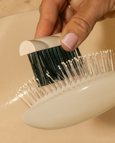 La brosse de nettoyage