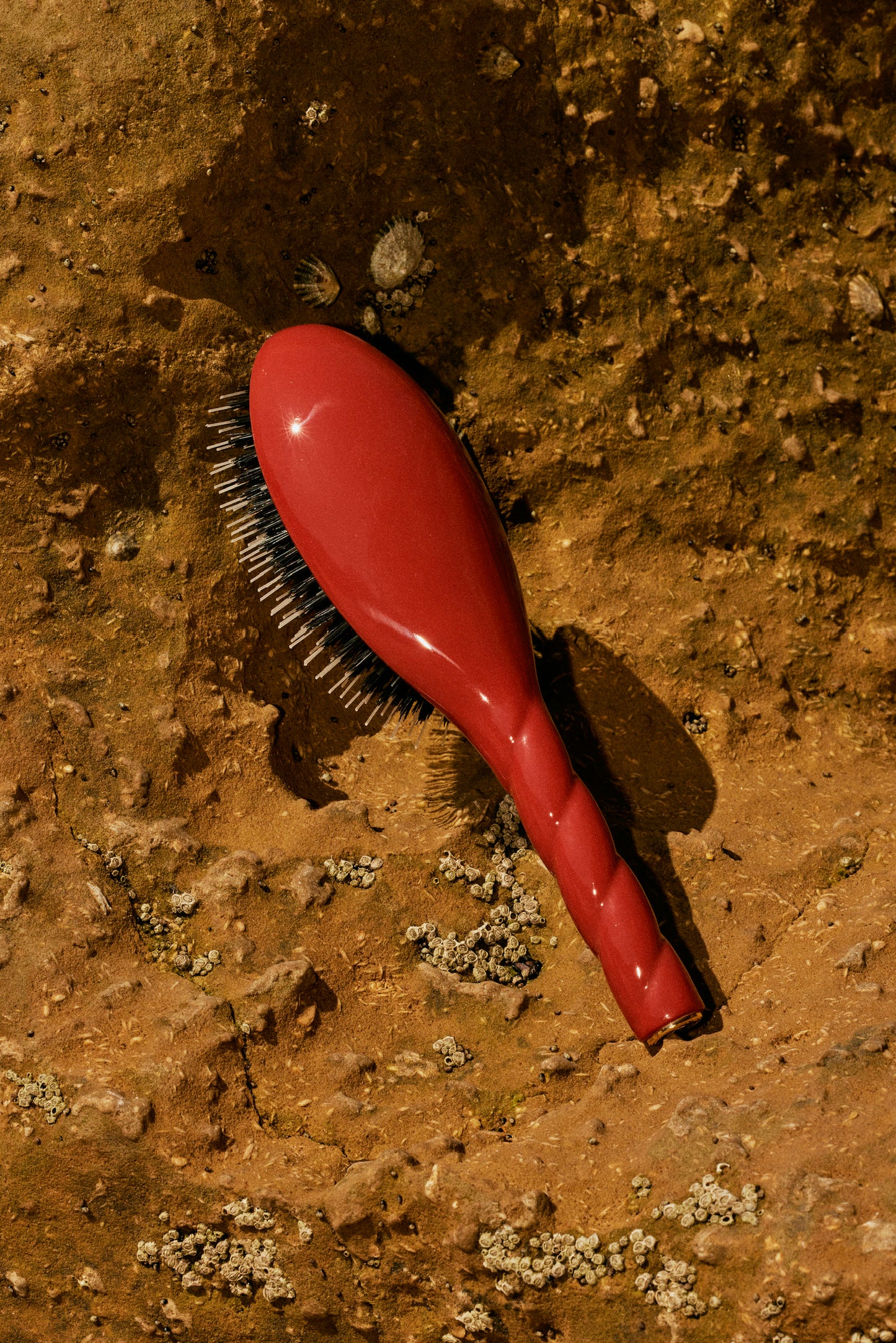 N.02 The Small Care & Detangling Hair Brush THE ESSENTIAL Clay Court