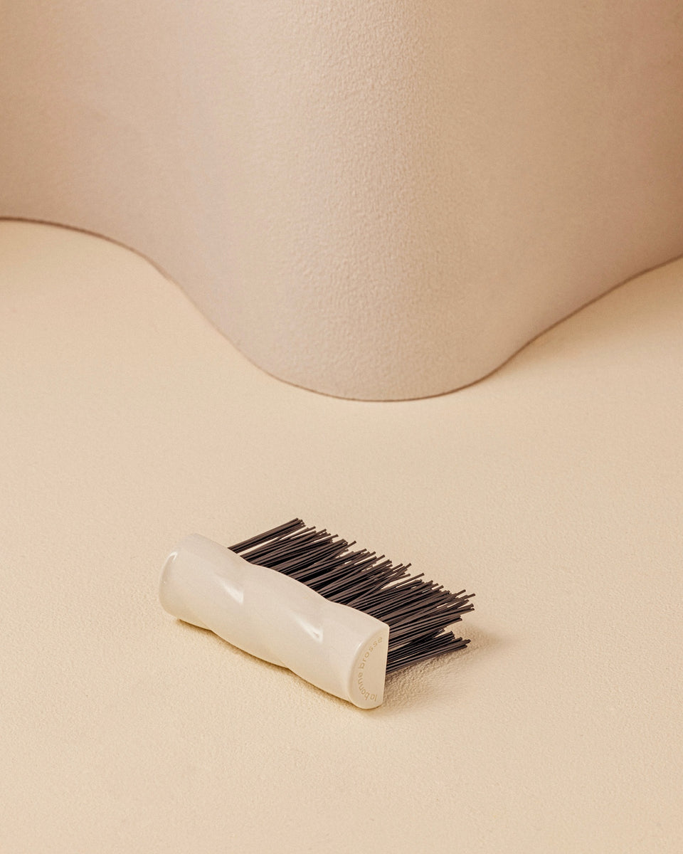 La brosse de nettoyage