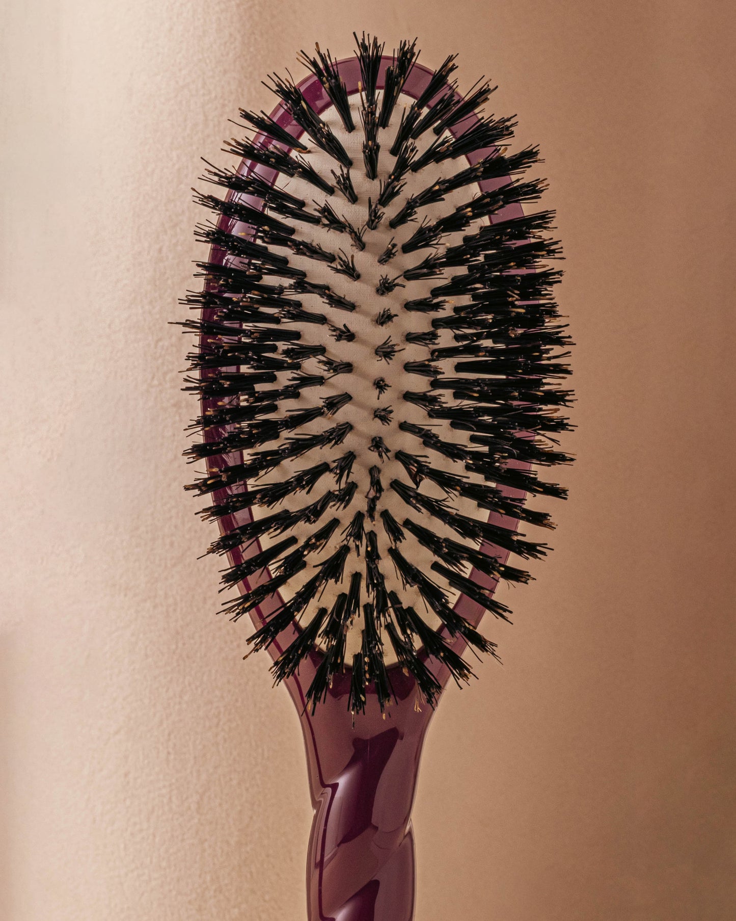 Édition Limitée Aubergine N.01 La Brosse Brillance & Soin l'Universelle