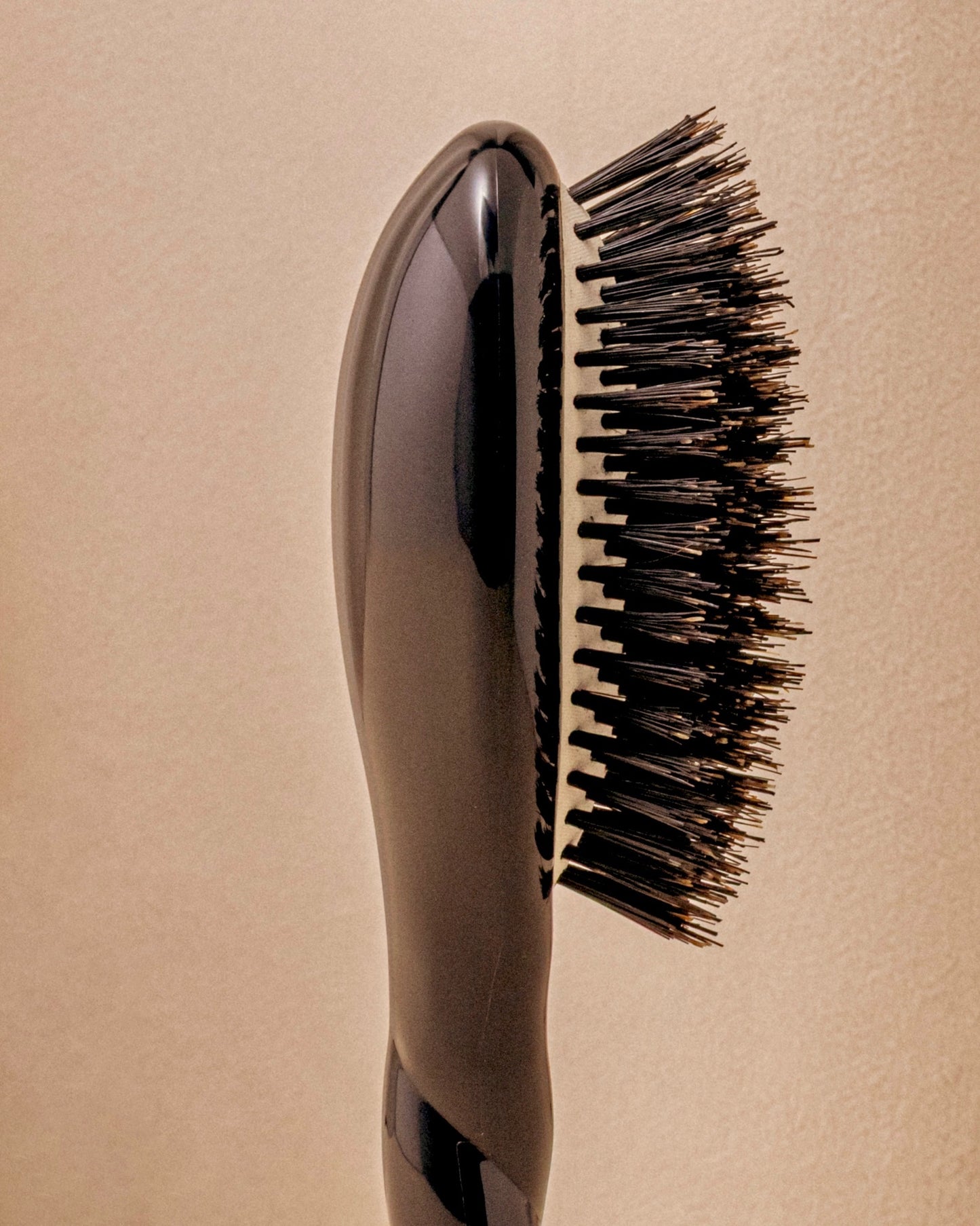 Black Edition N.01 El Pequeño Cepillo de Brillo y Cuidado La Universal