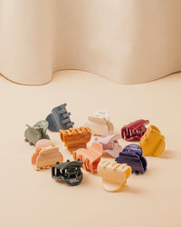 The Little Hair Clip