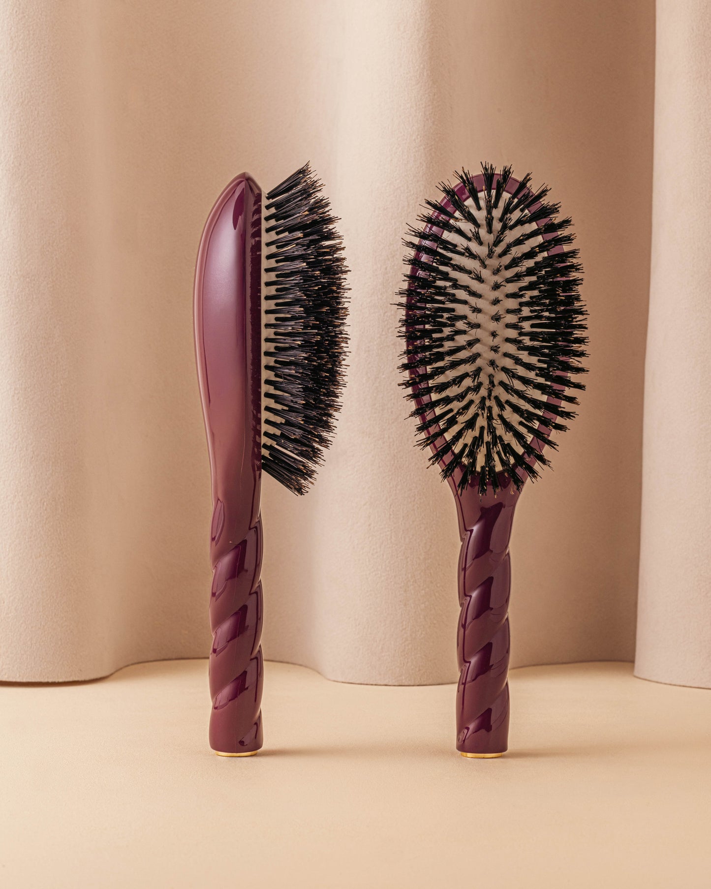 Édition Limitée Aubergine N.01 La Brosse Brillance & Soin l'Universelle