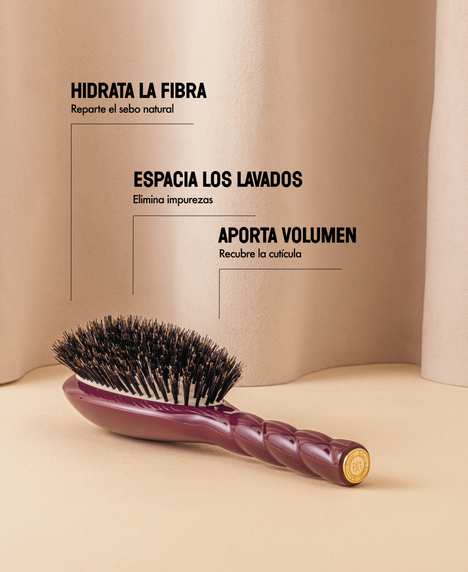 Edición limitada berenjena N.01 Brillo y Cuidado El Universal Cepillo