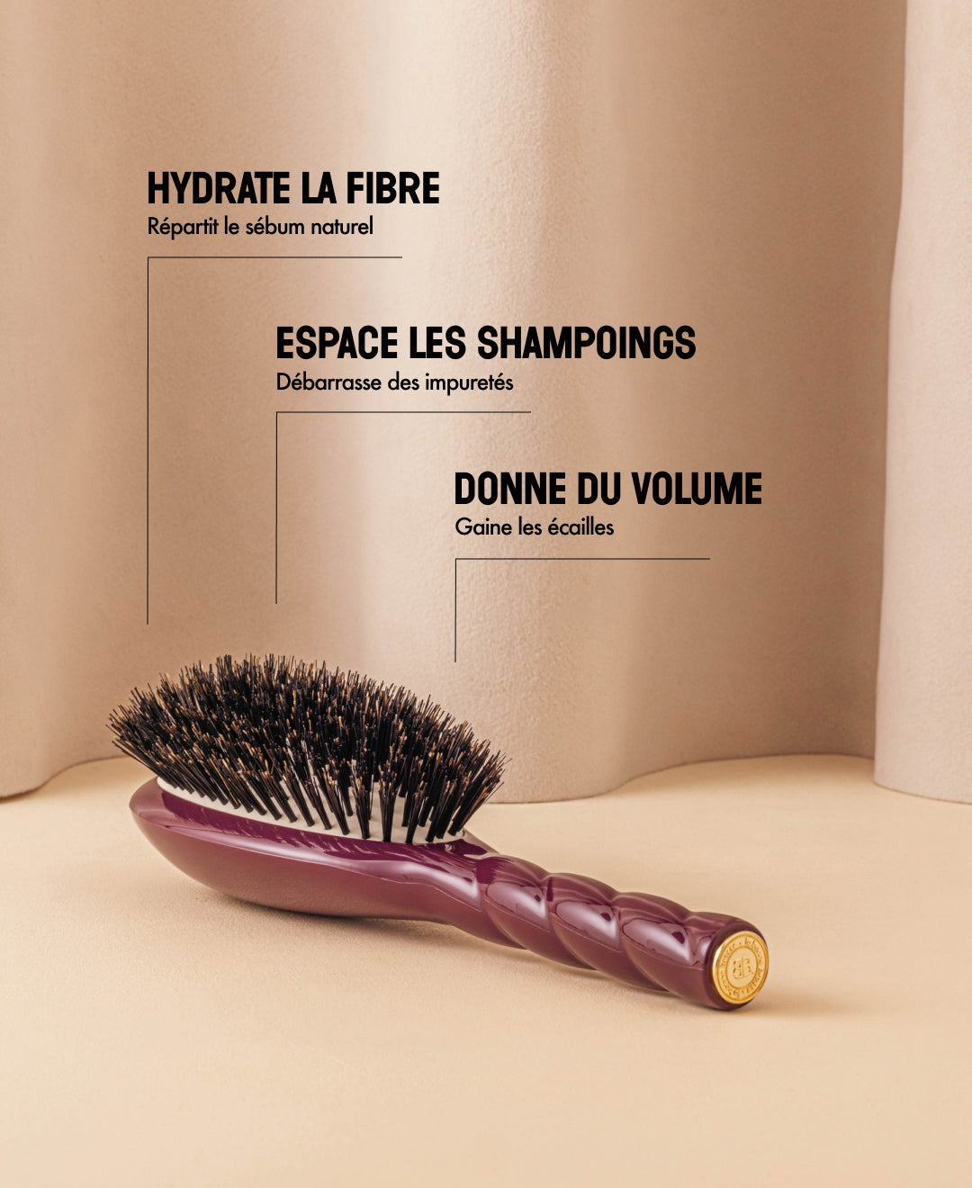 Édition Limitée Aubergine N.01 La Brosse Brillance & Soin l'Universelle