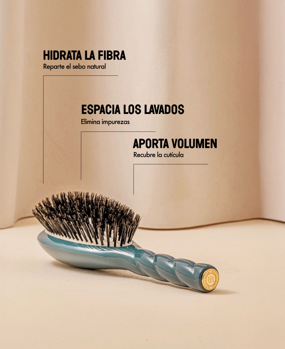 N.01 Brillo y Cuidado La Universal Cepillo Azul Tinta