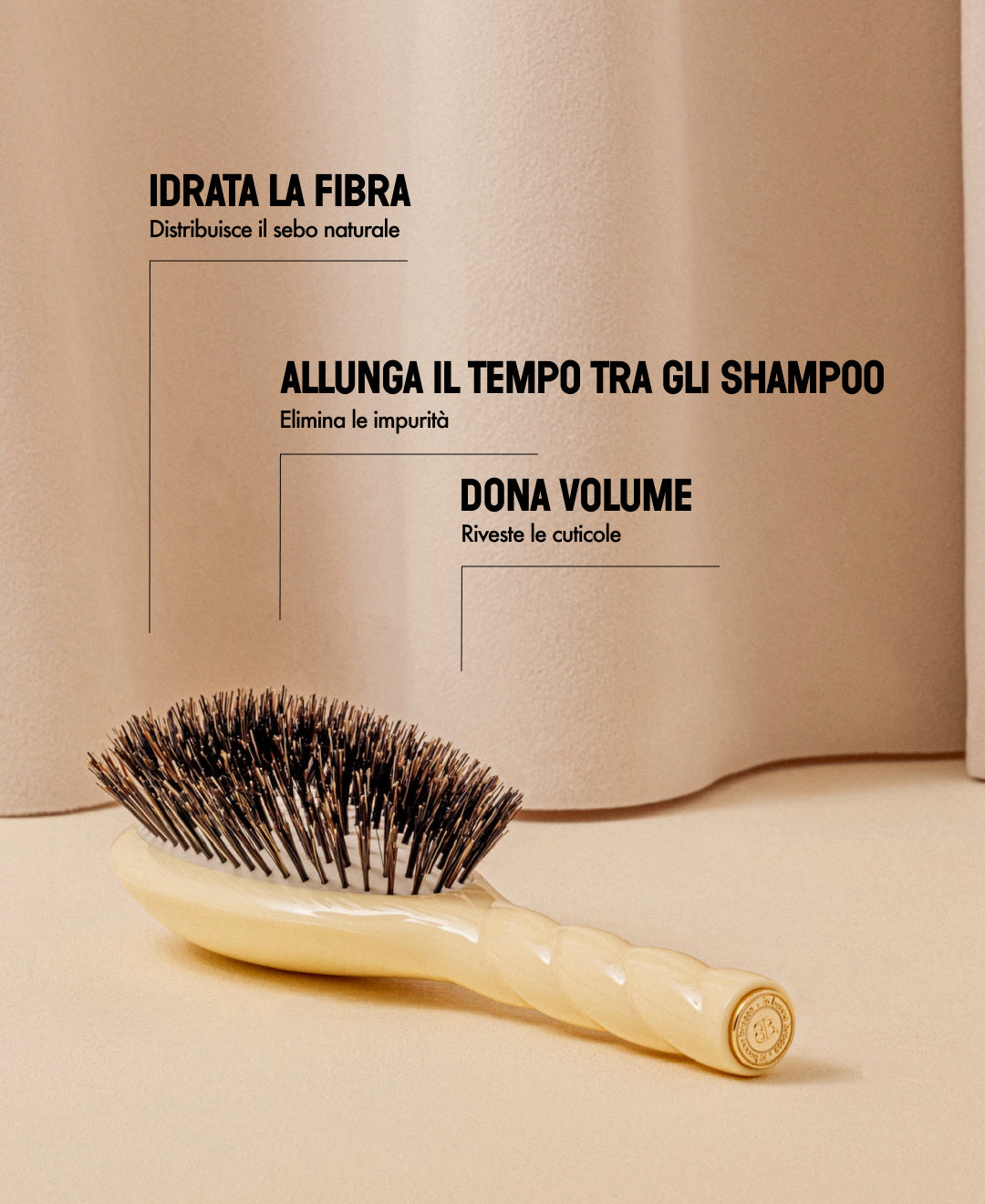 N.01 La Brosse Brillance & Soin l'Universelle Ivoire Cair