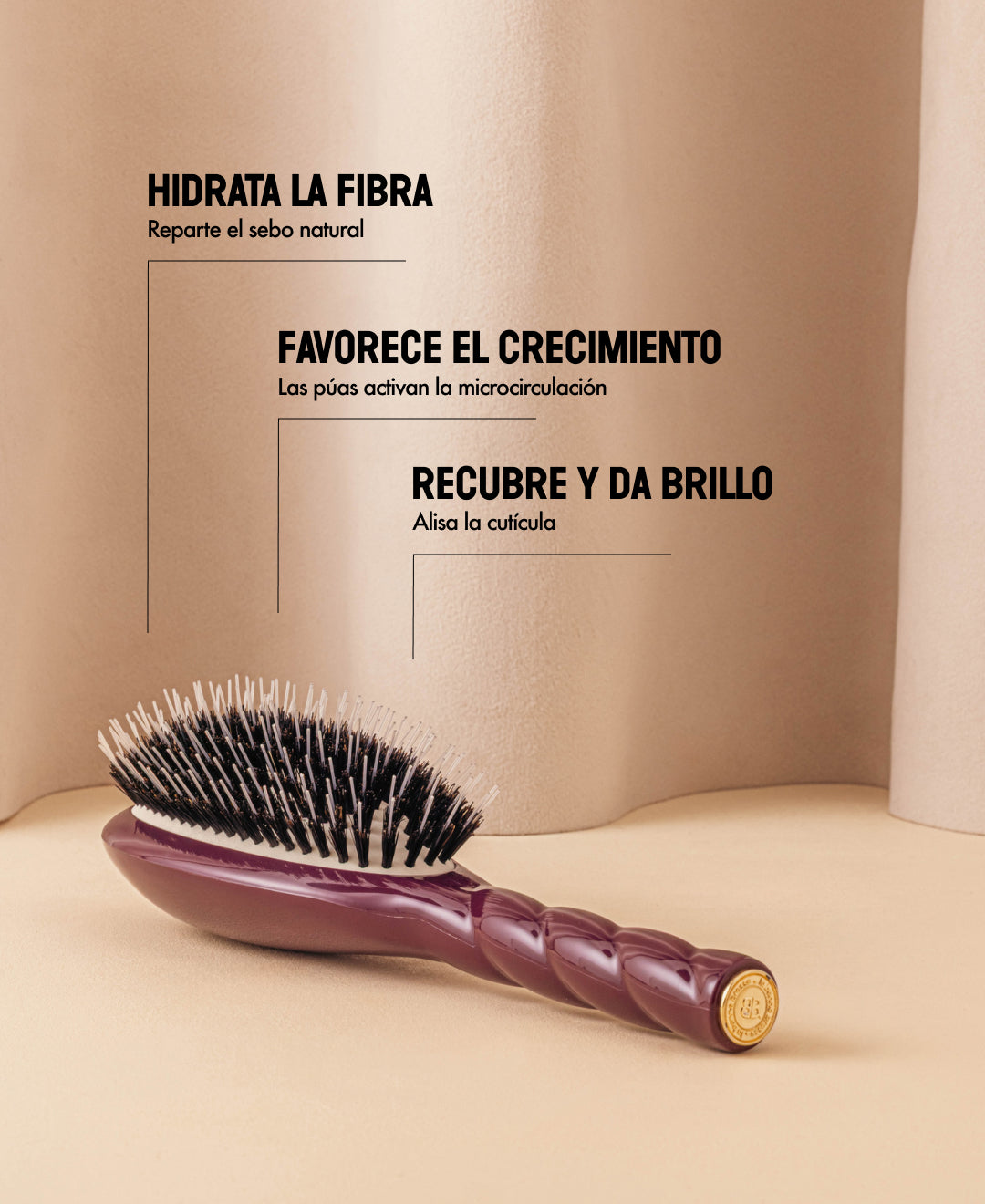 Edición limitada berenjena N.02 Lo Indispensable De Cuidado y Desenredado Cepillo