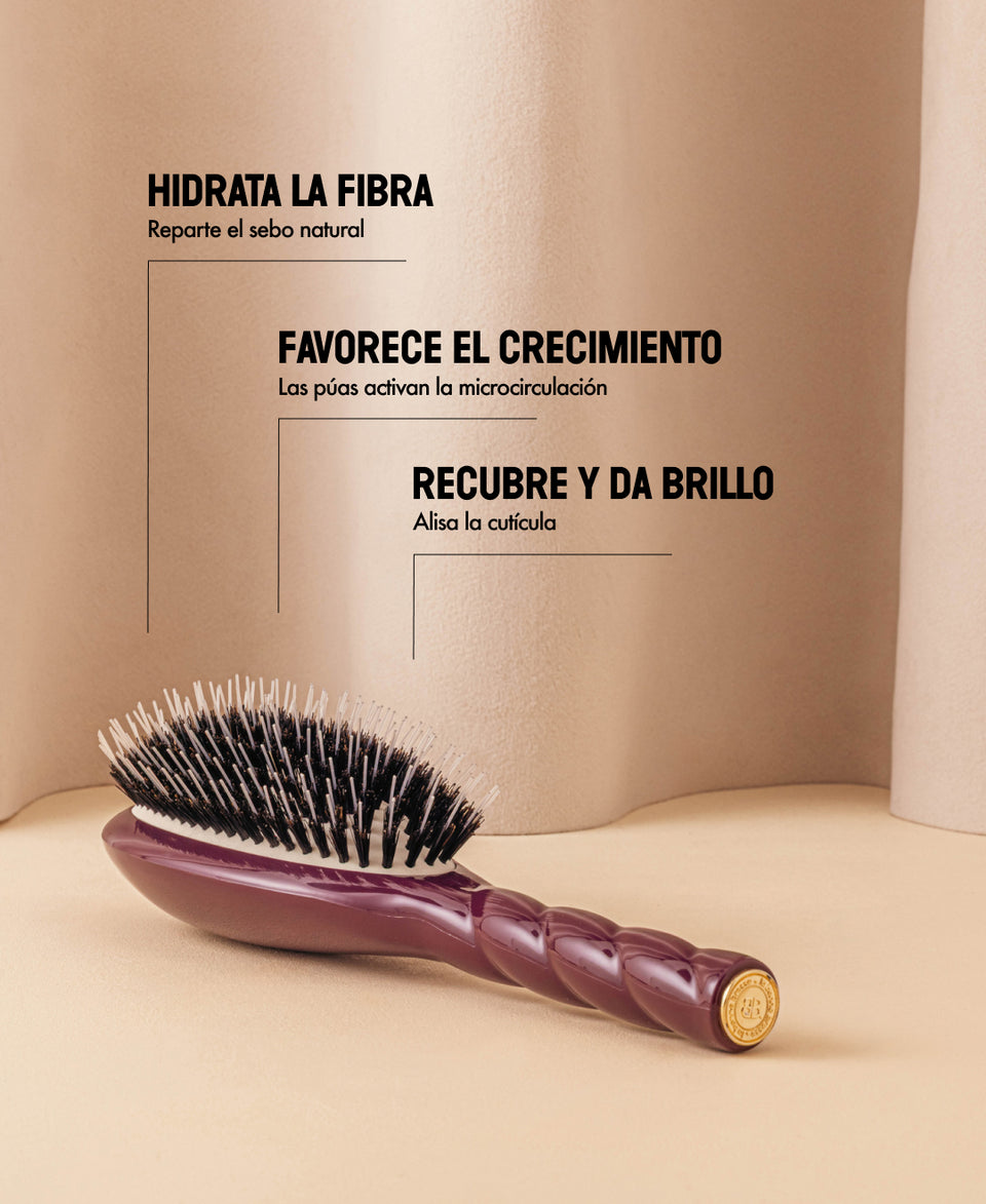 Edición limitada berenjena N.02 Lo Indispensable De Cuidado y Desenredado Cepillo