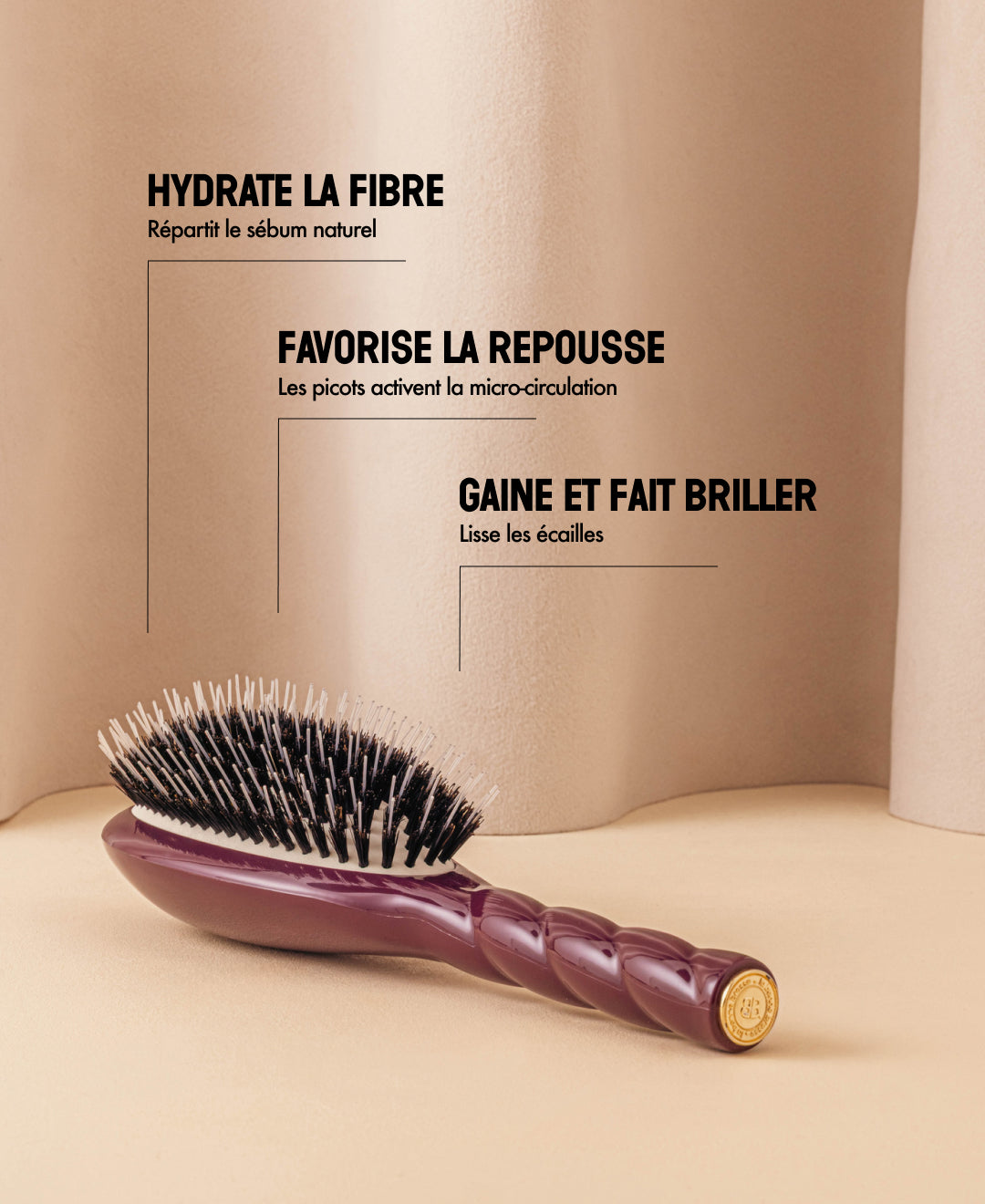 Édition Limitée Aubergine N.02 La Brosse Démêlante & Soin l'Indispensable