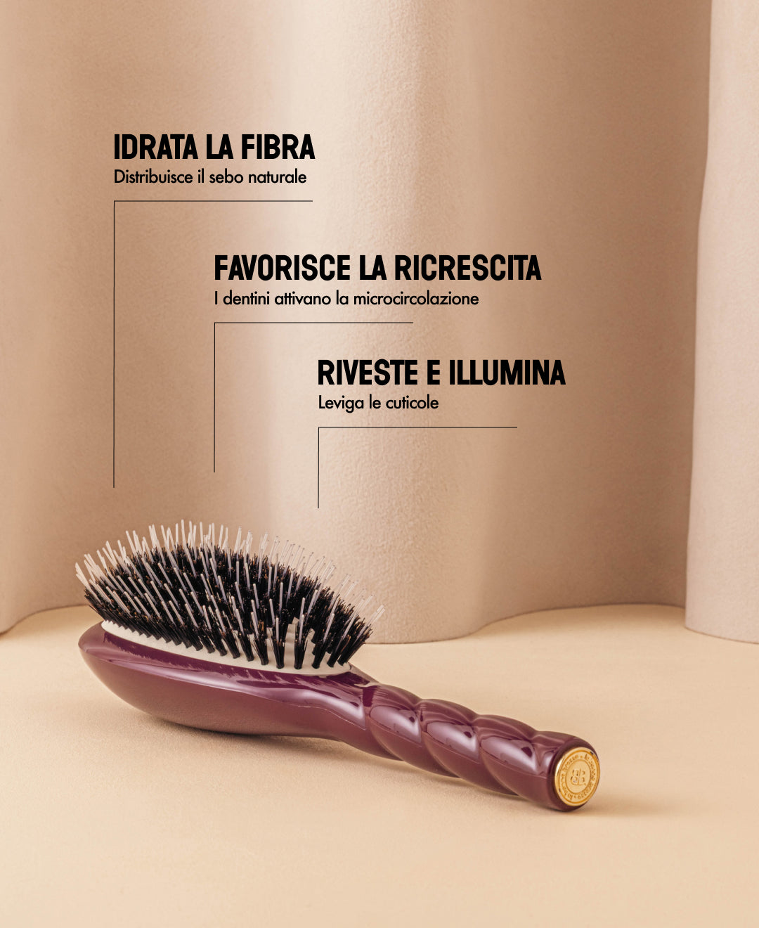N.02 Districante e Trattante l'Indispensabile Spazzola melanzana, edizione limitata