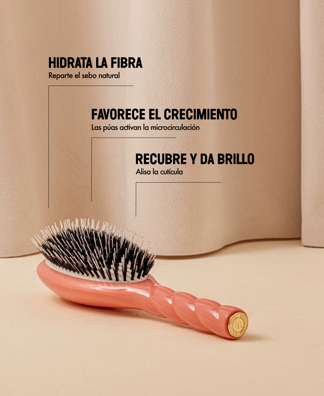 N.02 Lo Indispensable De Cuidado y Desenredado Cepillo Coral