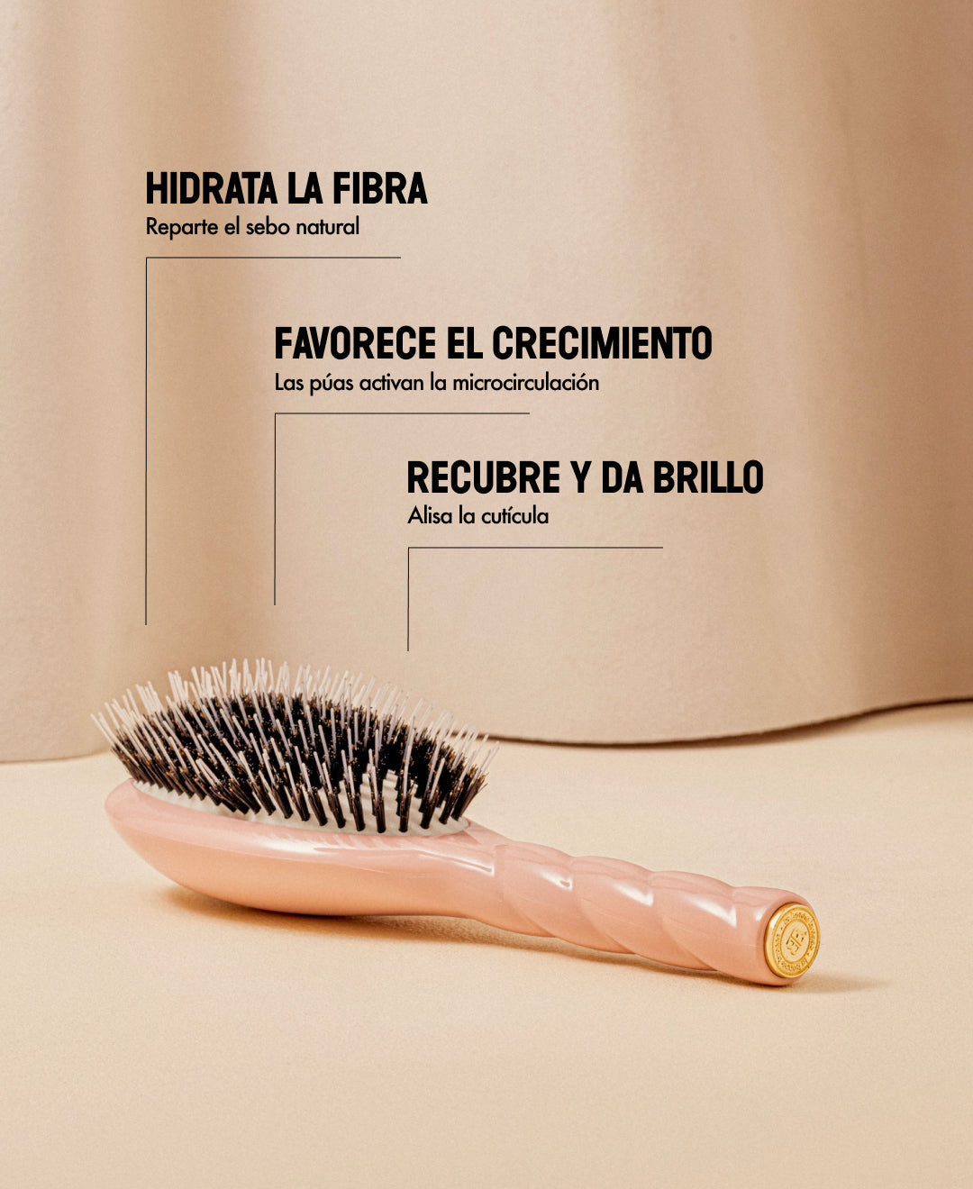 N.02 The Detangling & Care Brush The Essential Powder Pink