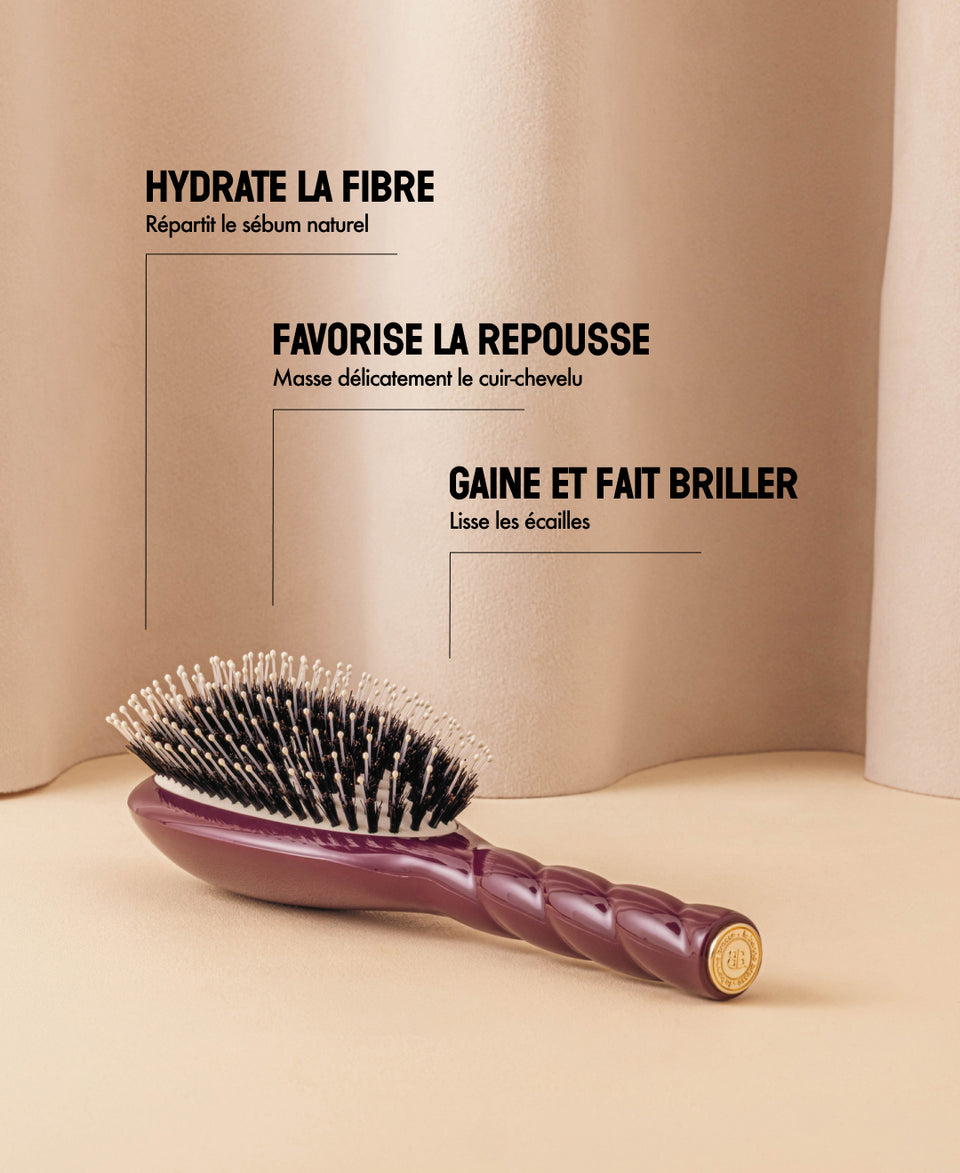 Édition Limitée Aubergine N.03 La Brosse Cuir Chevelu Sensible l'Indispensable Douceur