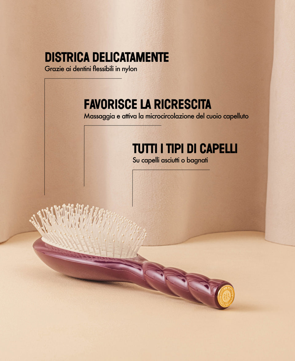 N.04 Il Miracolo Districante e Vegan Spazzola melanzana, edizione limitata