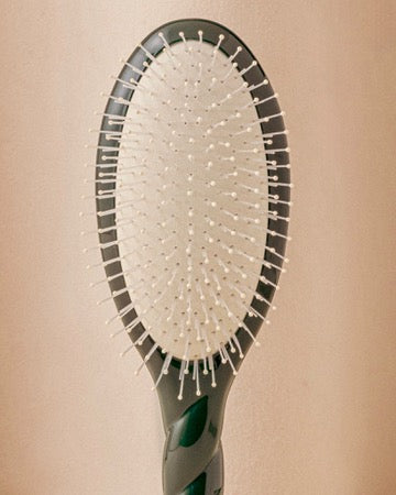 Trio: The Bonne Brosse, its Comb and its Emerald Green Pouch