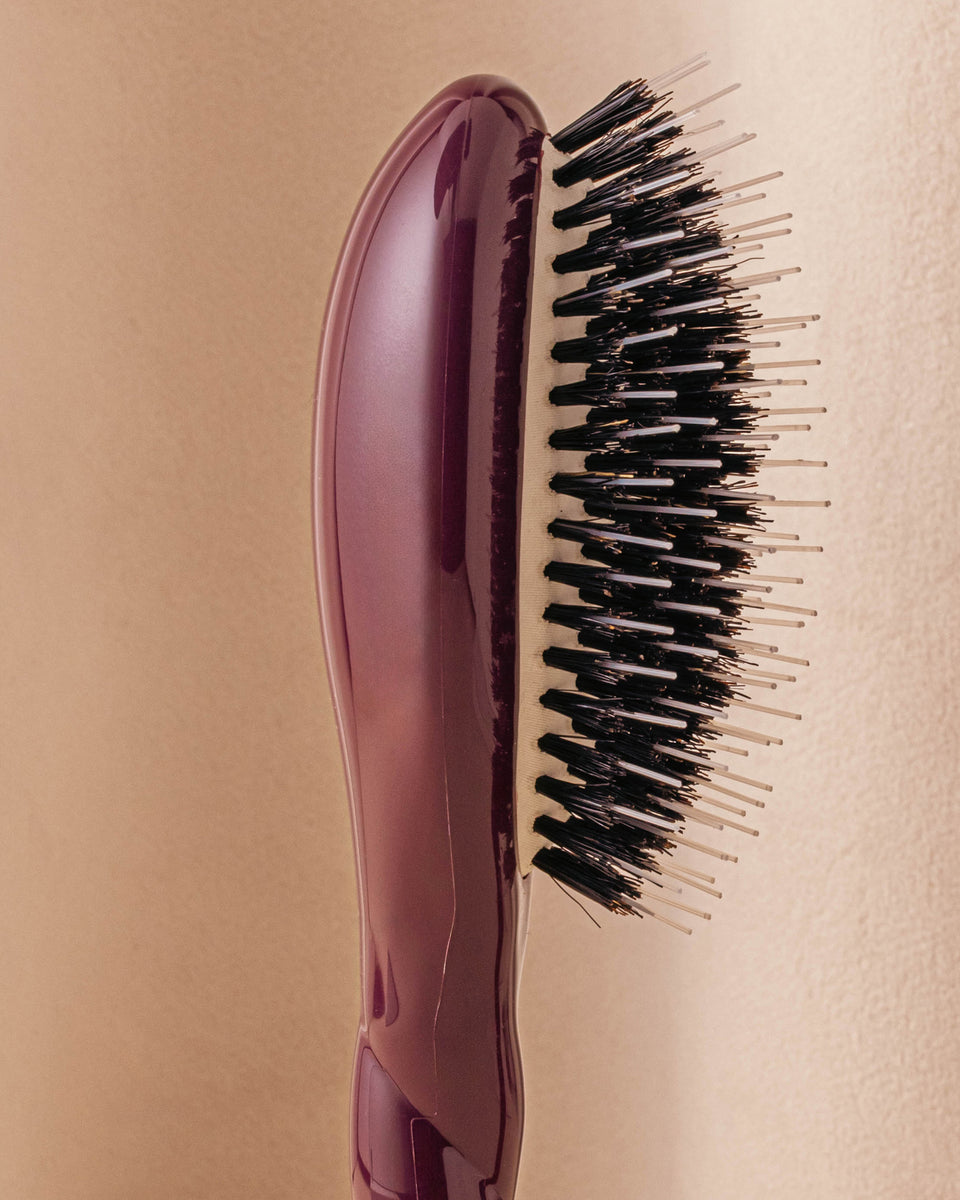 Édition Limitée Aubergine N.02 La Petite Brosse Démêlante & Soin l'Indispensable