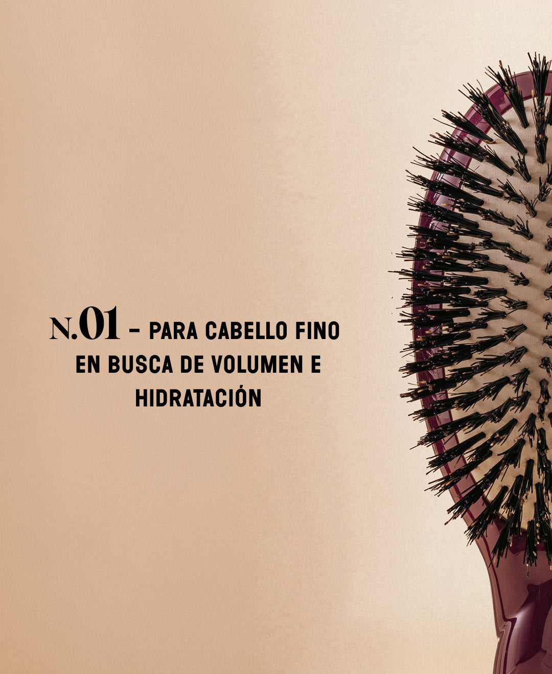 Edición limitada berenjena N.01 Brillo y Cuidado El Universal Cepillo