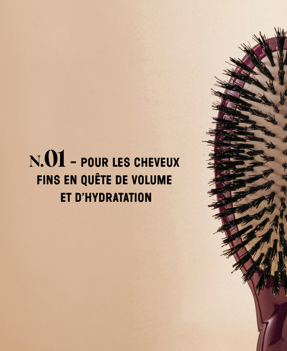 Édition Limitée Aubergine N.01 La Brosse Brillance & Soin l'Universelle