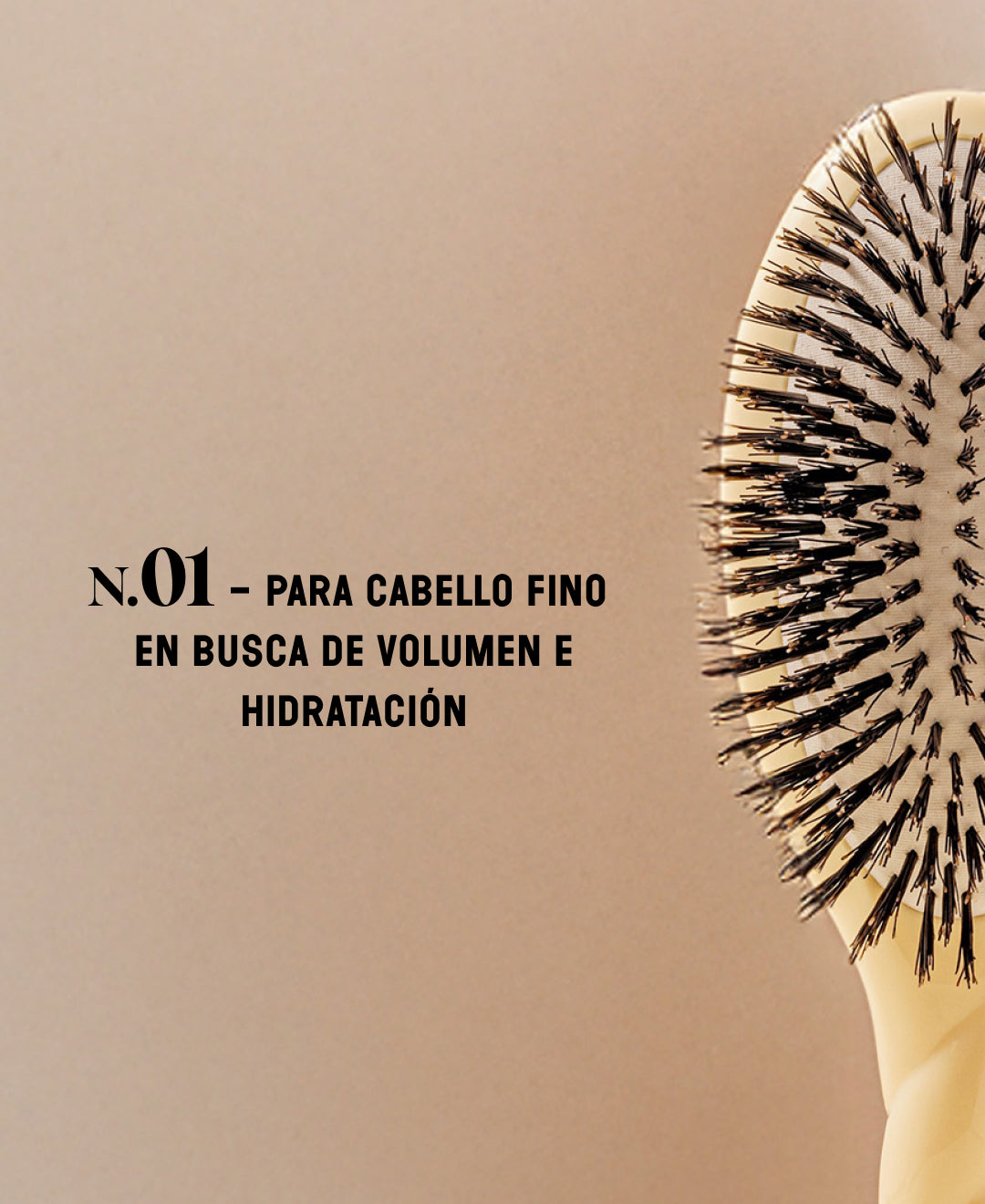 N.01 La Brosse Brillance & Soin l'Universelle Ivoire Cair