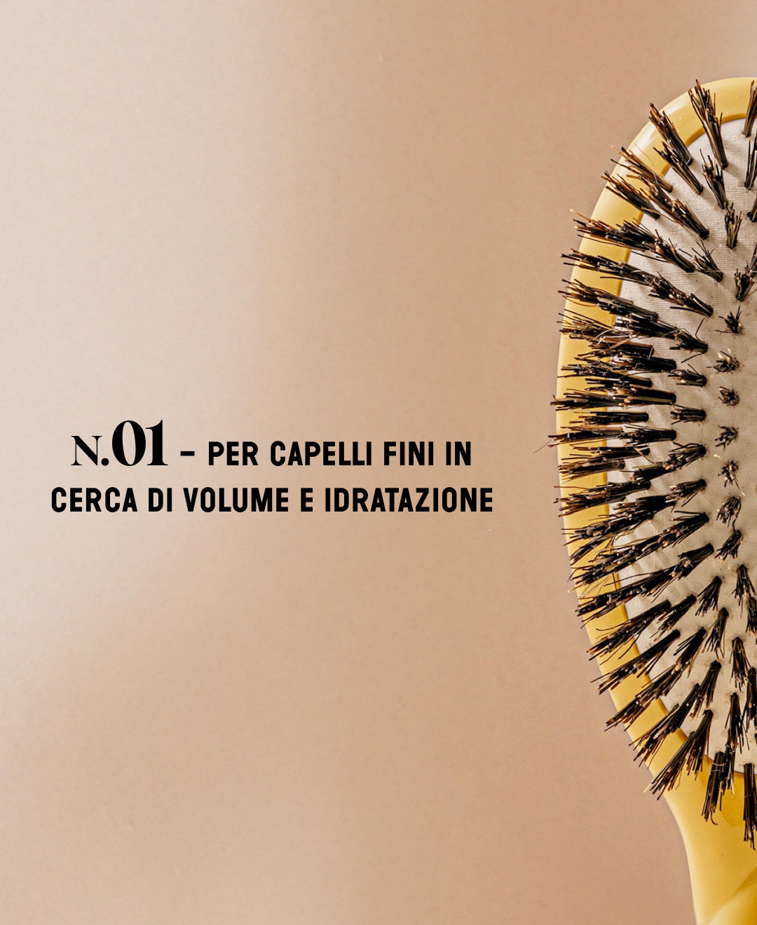 N.01 Brillo y Cuidado La Universal Cepillo Amarillo Azafrán