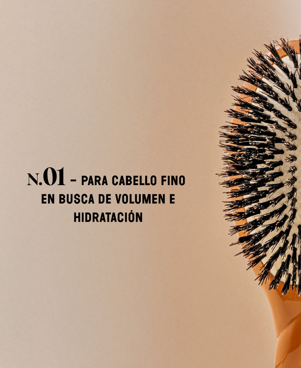 N.01 Brillo y Cuidado El Universal Cepillo Terracota