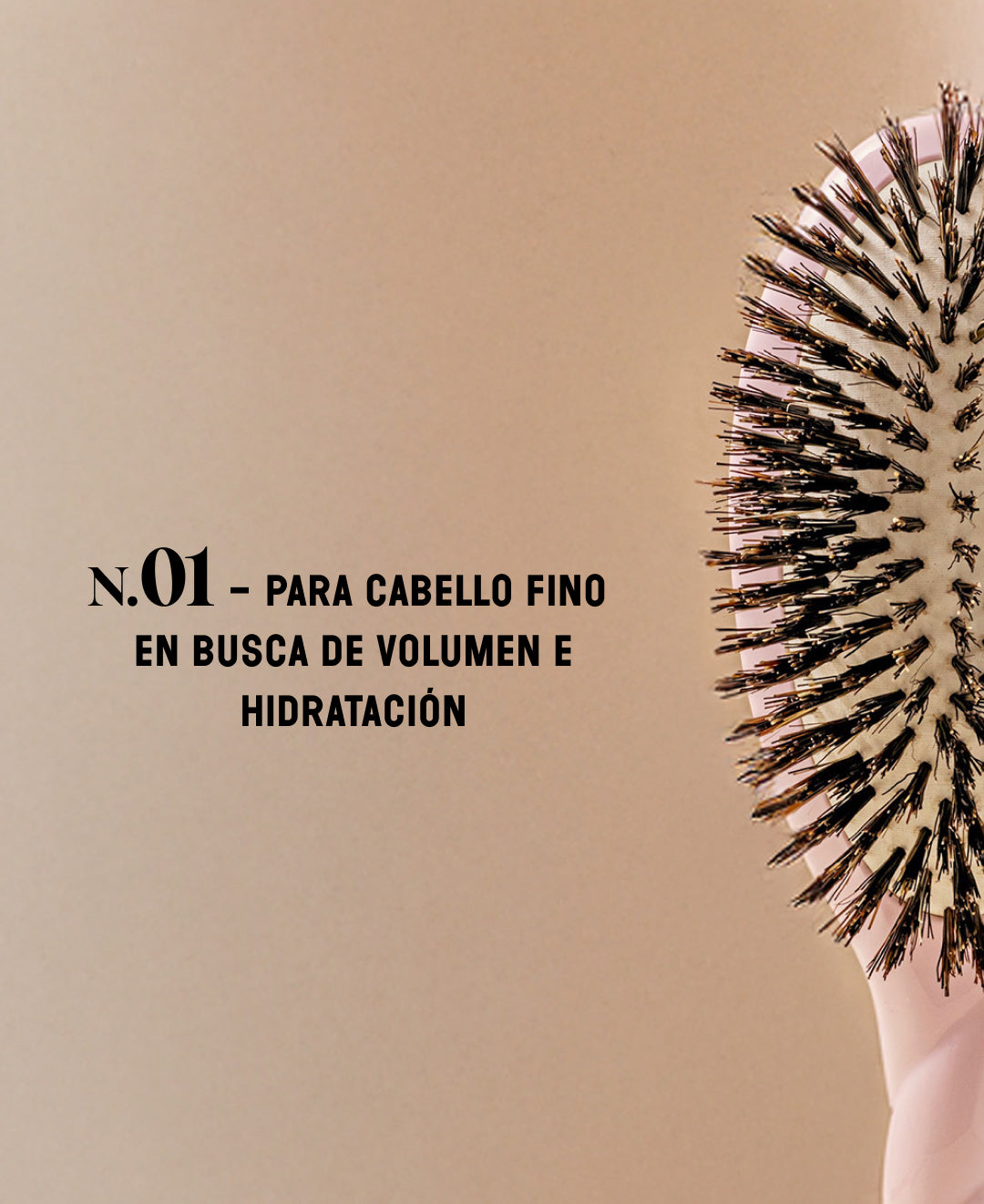 N.01 Brillo y Cuidado La Universal Cepillo Rosa Lila