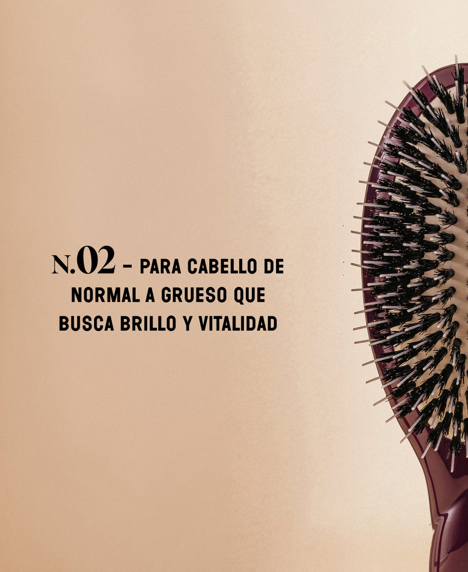 Edición limitada berenjena N.02 Lo Indispensable De Cuidado y Desenredado Cepillo