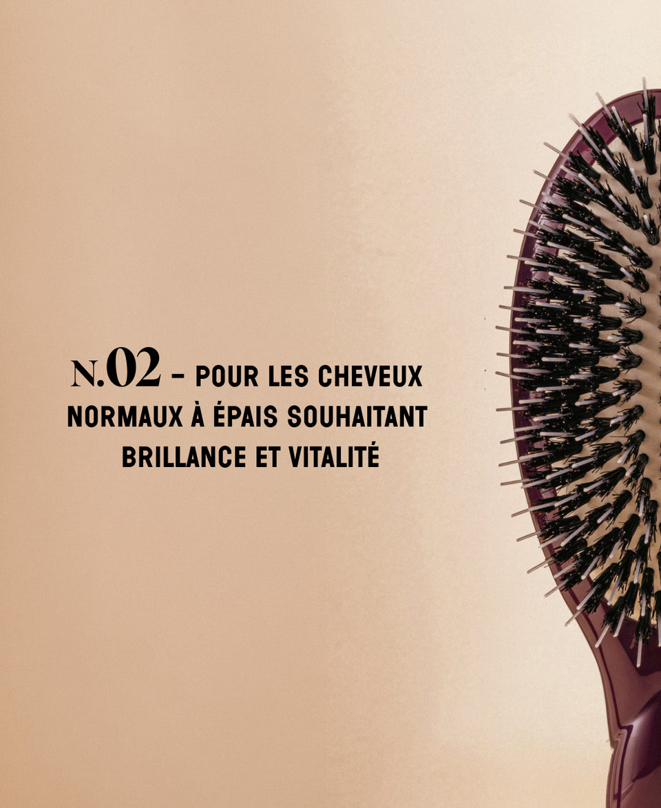 Édition Limitée Aubergine N.02 La Brosse Démêlante & Soin l'Indispensable