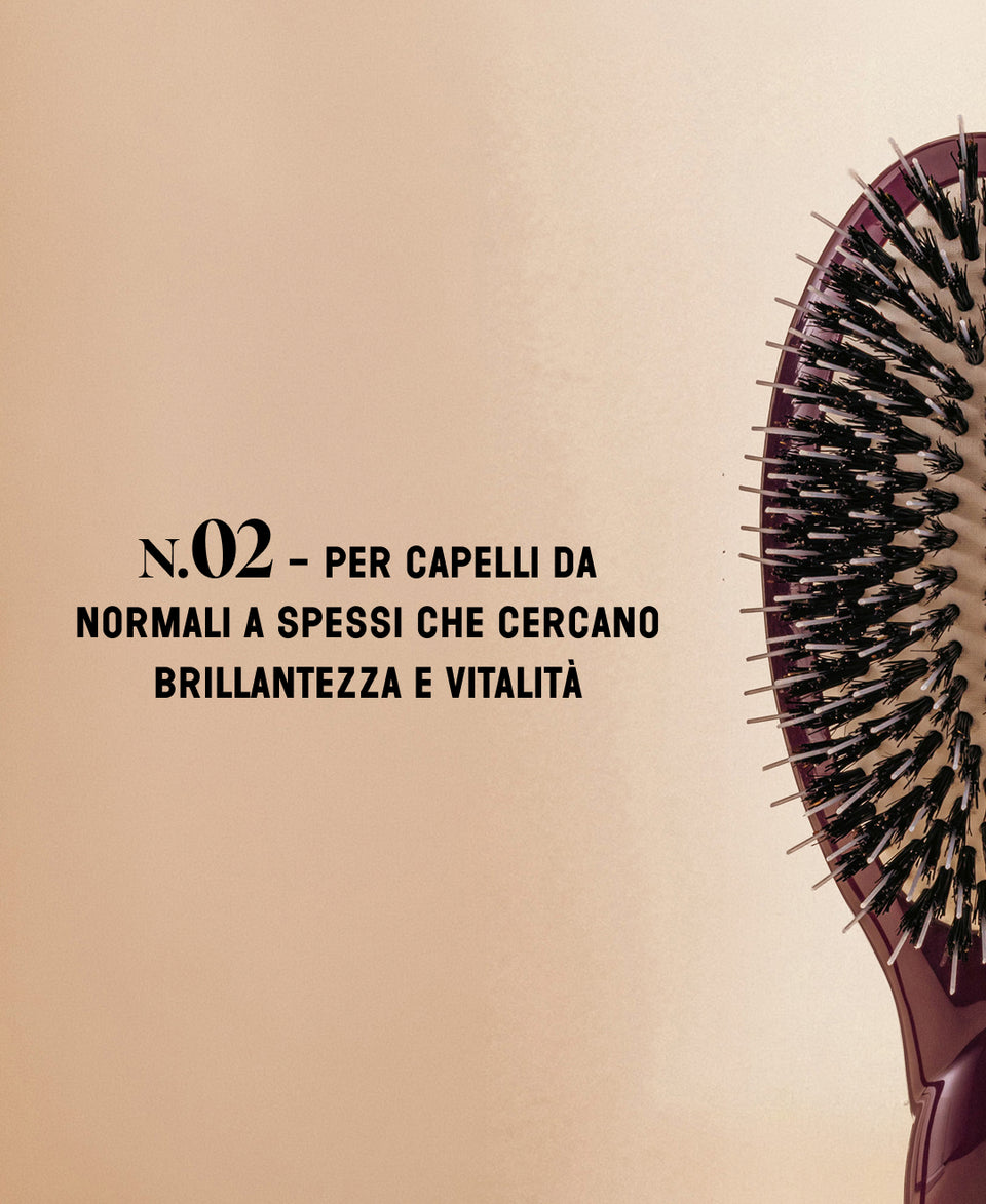 N.02 Districante e Trattante l'Indispensabile Spazzola melanzana, edizione limitata