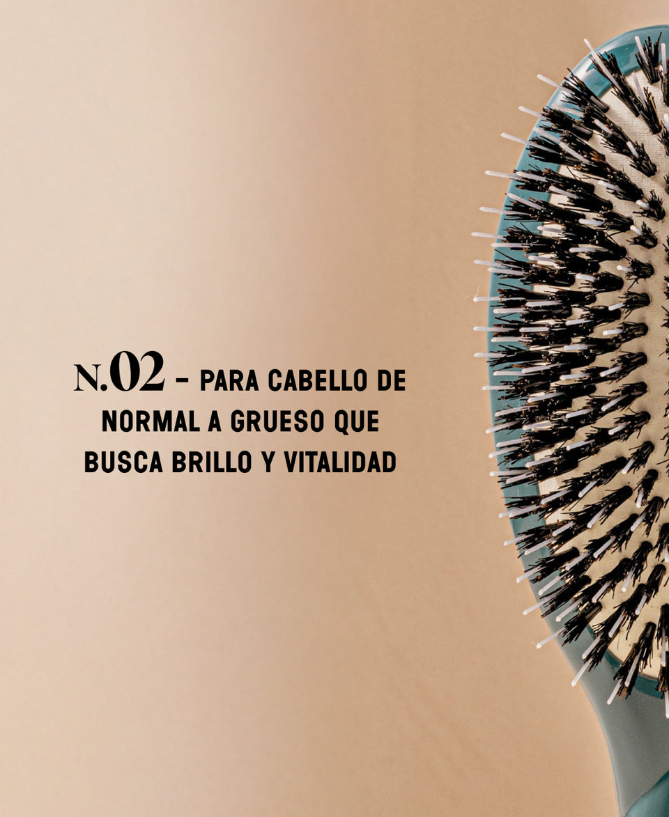 N.02 Lo Indispensable De Cuidado y Desenredado Cepillo Azul Tinta